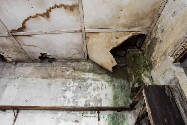 Water Damage Service in North Fort Myers