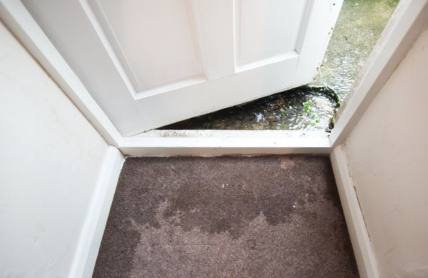 Wet Carpet Restoration in North Fort Myers