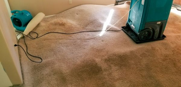 Flood Damage Cleanup in North Fort Myers