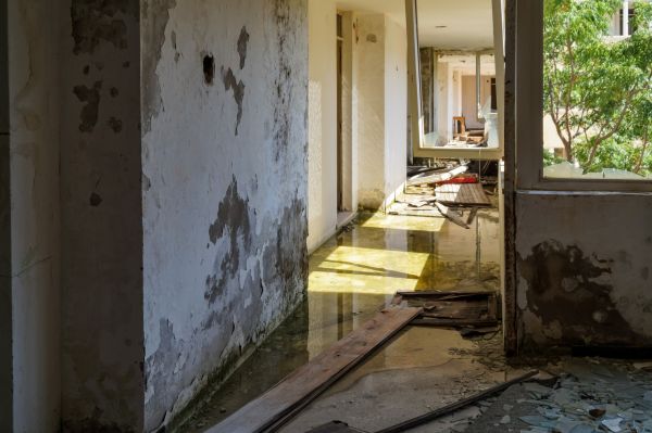 Water Removal Service in North Fort Myers