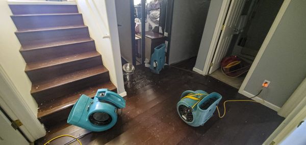 Water Damage Remediation in North Fort Myers