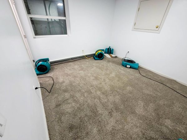 Flood Restoration Service in North Fort Myers