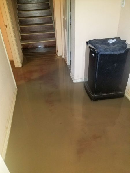 Emergency Water Removal in North Fort Myers