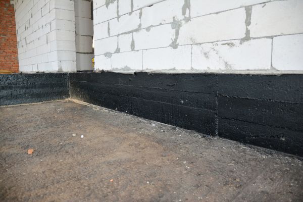Cost of Basement Water Damage Service in North Fort Myers