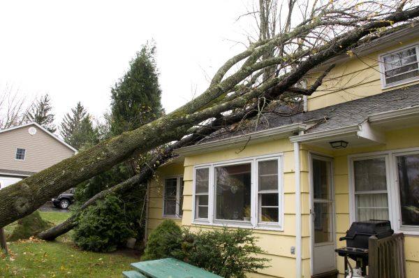 Hurricane Damage Repair in North Fort Myers