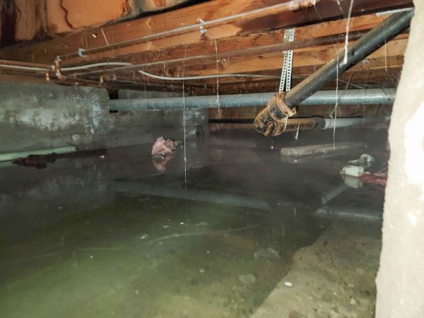 Crawlspace Water Restoration in North Fort Myers
